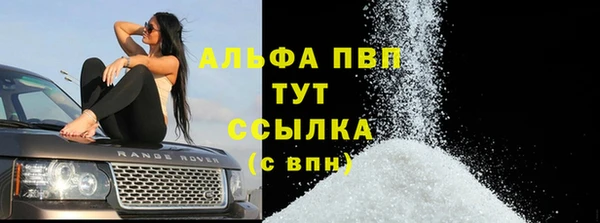 трава Белокуриха