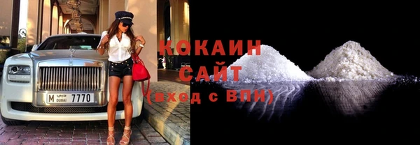 трава Белокуриха