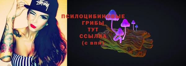 трава Белокуриха