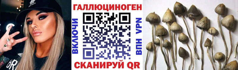 Галлюциногенные грибы ЛСД  Бузулук 